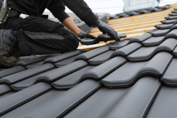 Best Asphalt Shingle Roofing  in Sissonville, WV